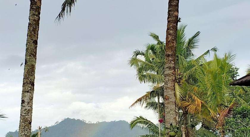 Jero Tumbuk Private Villa photo