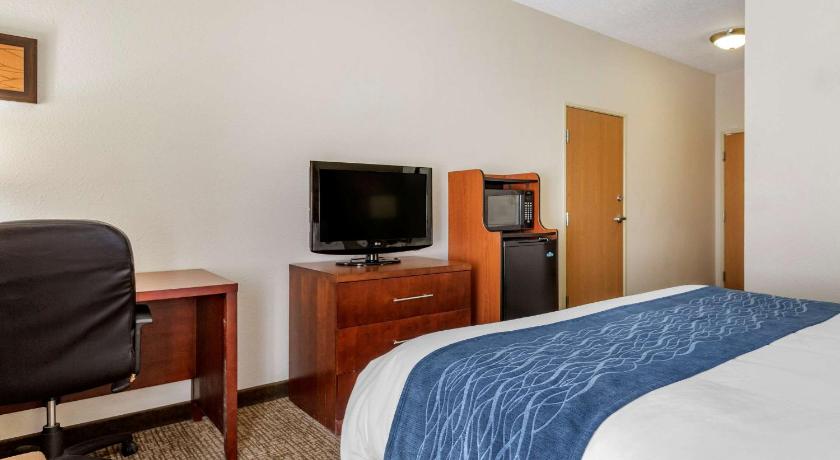 Comfort Inn Downtown - University Area