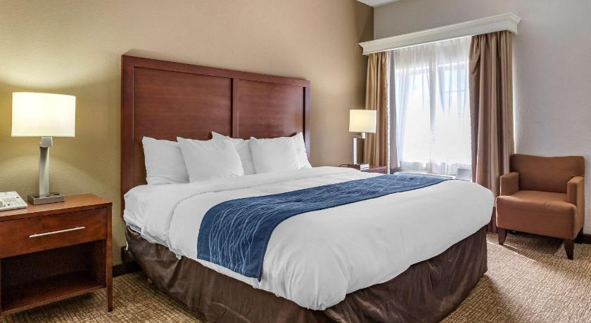 Comfort Inn Downtown - University Area