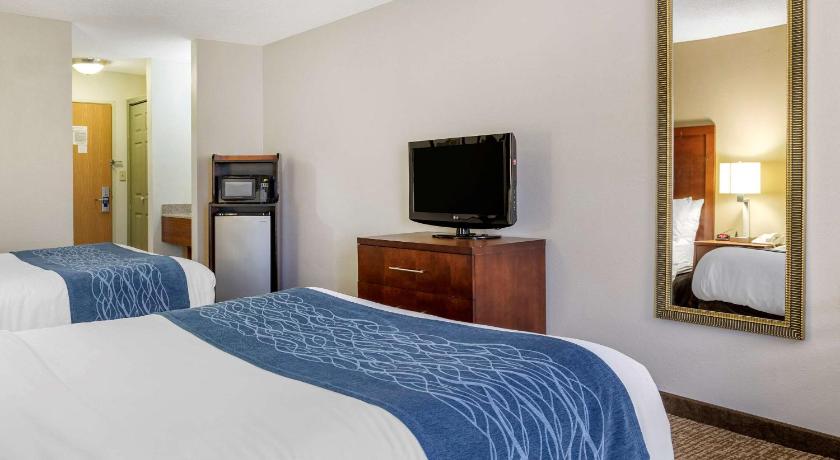 Comfort Inn Downtown - University Area