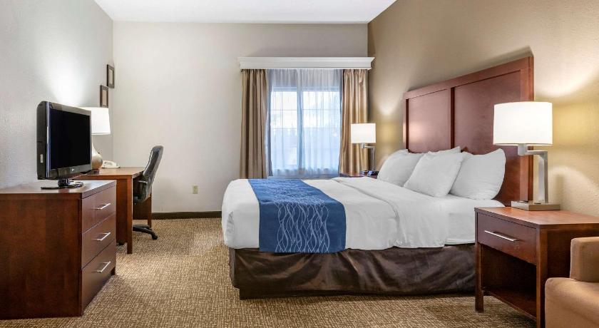 Comfort Inn Downtown - University Area