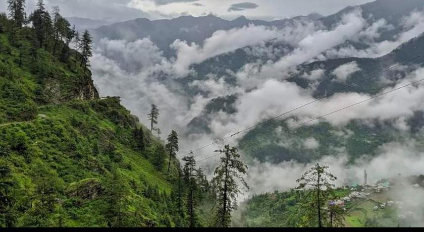 The Woods View By Exotic Stays photo