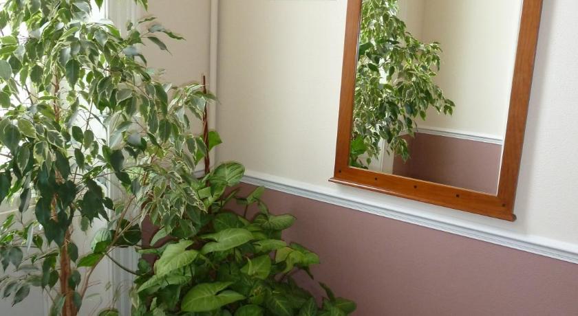 a green plant sitting in a bathroom next to a window, Tregonholme Hotel in Bournemouth