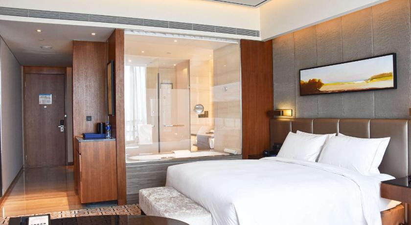 郑州天地丽笙酒店 (radisson blu zhengzhou huiji)