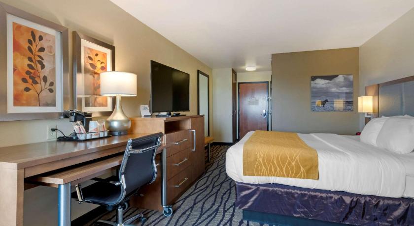 Comfort Inn and Suites Market - Airport