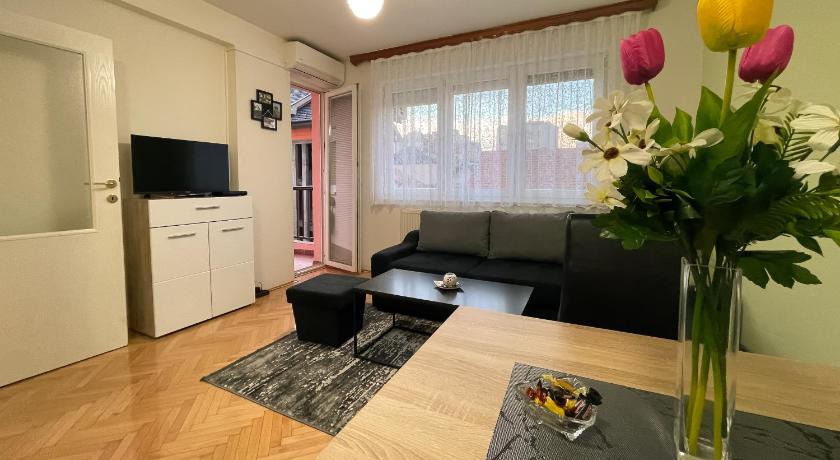 Apartman Central — Hotel in Bijeljina