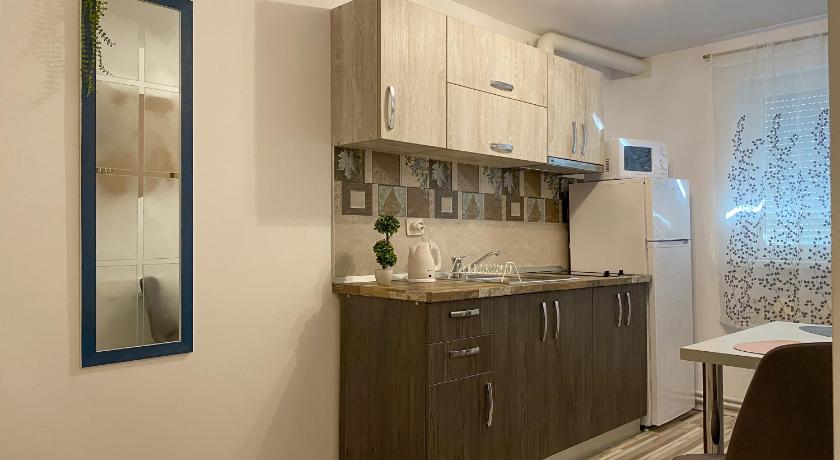 Timișoara Blue Dream Apartment 3-Star Single Room pool