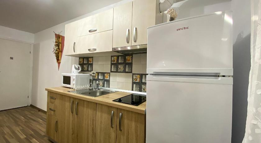 蒂米什瓦拉 Autumn Bliss Apartment 3星级 单人房 客房