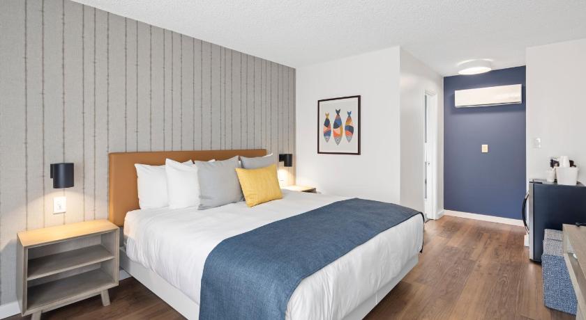 Image of Queen Room - Disability Access 1
