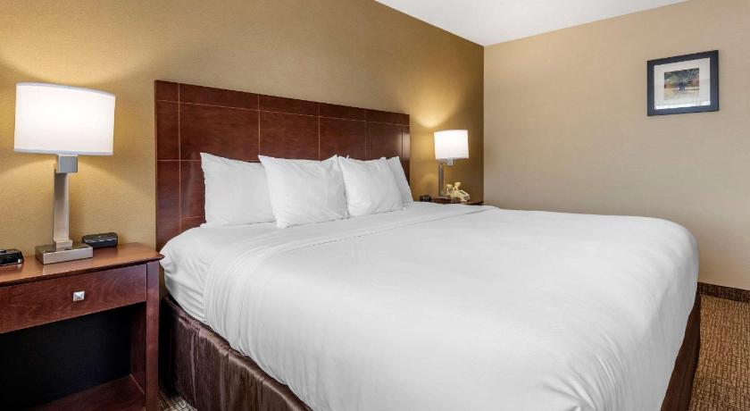 Comfort Inn & Suites at Maplewood