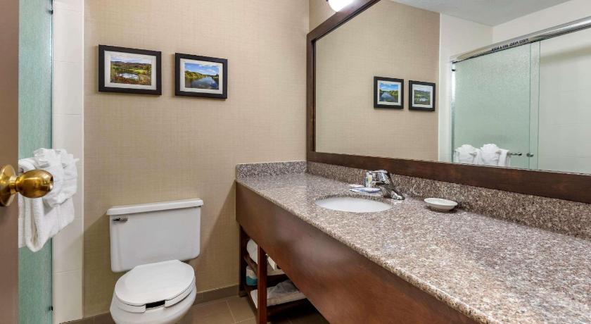 Comfort Inn & Suites at Maplewood