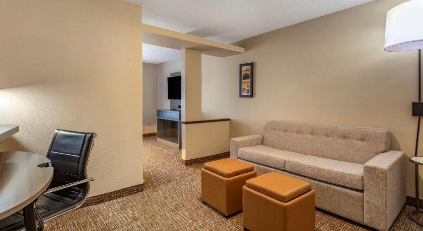 Comfort Inn & Suites North Dallas-Addison