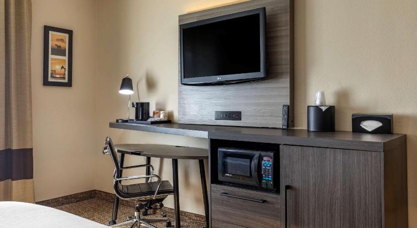 Comfort Inn & Suites North Dallas-Addison