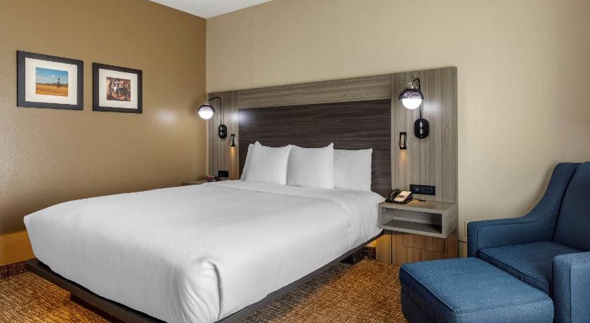 Comfort Inn & Suites North Dallas-Addison