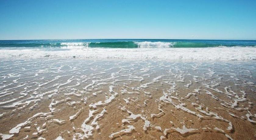 Surfers International Apartments Resort photo