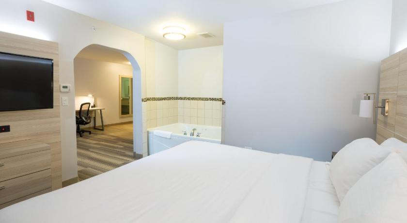 Holiday Inn Express Hotel & Suites Grand Blanc