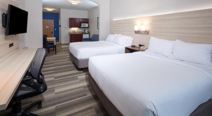 Holiday Inn Express Hotel & Suites Grand Blanc