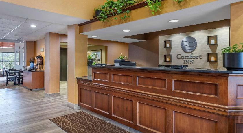 Comfort Inn Okemos - East Lansing