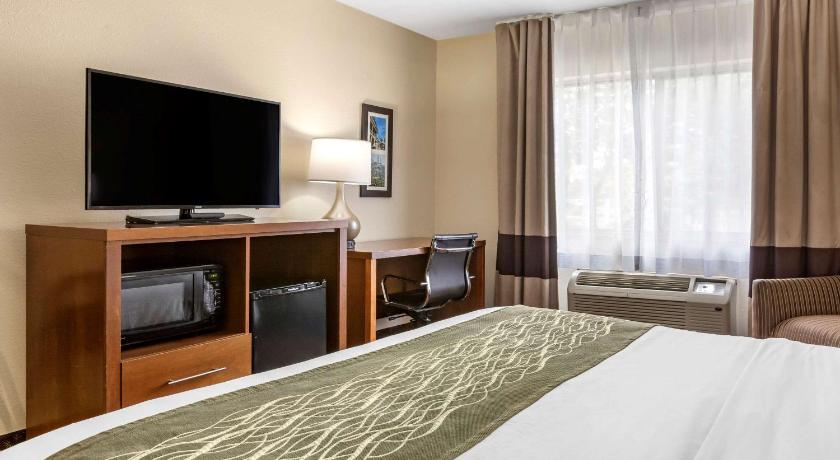 Comfort Inn Okemos - East Lansing