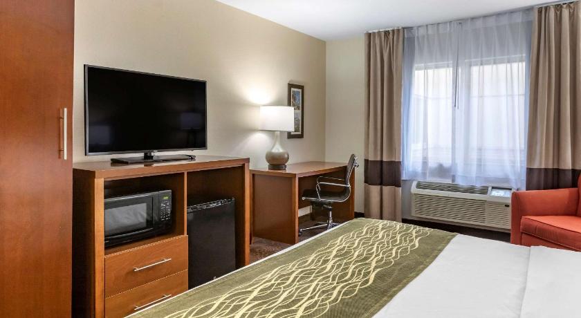 Comfort Inn Okemos - East Lansing