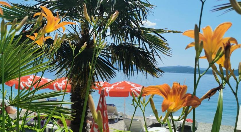 Hotel Azzurro photo