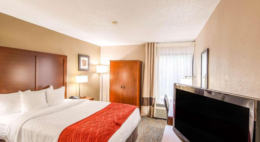 Comfort Inn Greenville - Haywood Mall