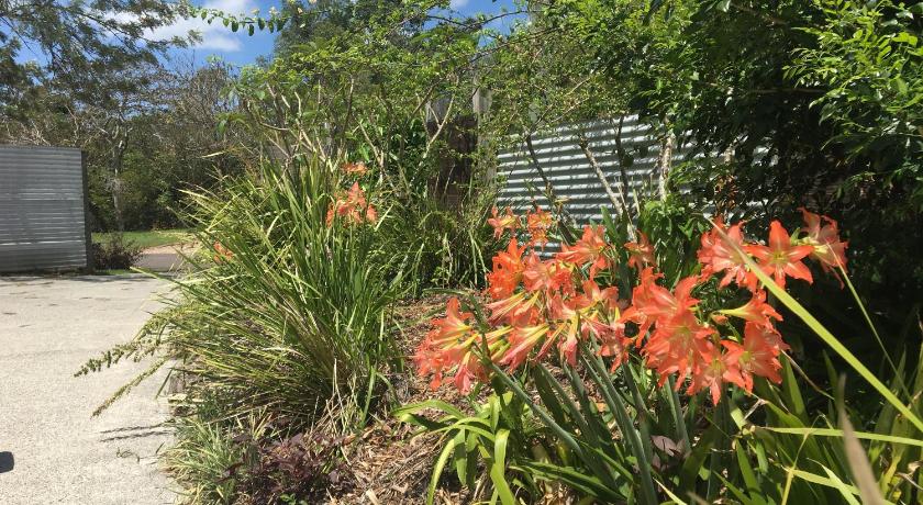 Eumundi Guesthouse and B&B photo