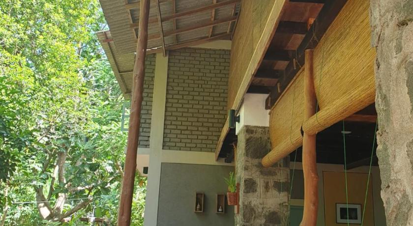 Jungle House photo