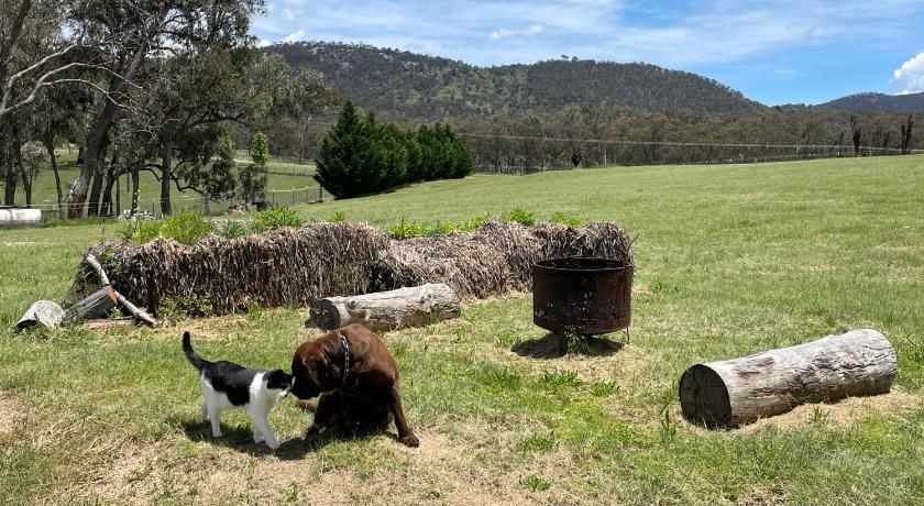 Donegal Farmstay — Hotel in Stanthorpe