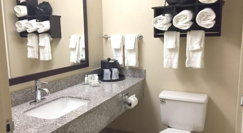 Best Western Plus Birmingham Inn & Suites photo