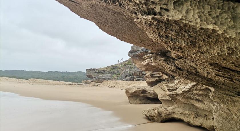 128 Shearwater on Sea, Sedgefield photo
