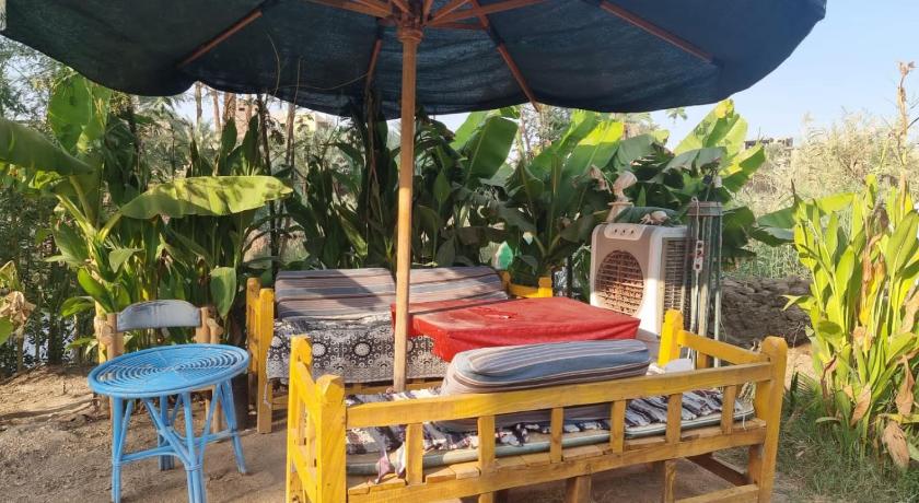 卢克索 Luxor Old Nile Hotel 3星级 酒店 景观