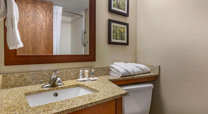 Comfort Inn & Suites near Danville Mall