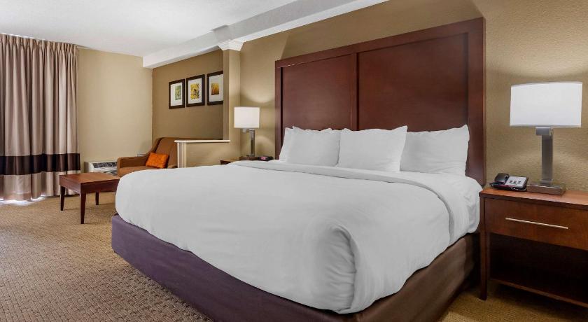 Comfort Inn & Suites near Danville Mall