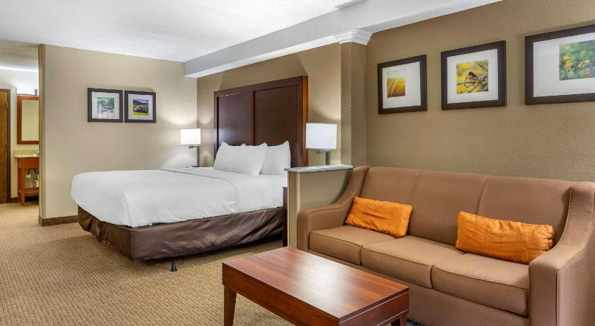 Comfort Inn & Suites near Danville Mall