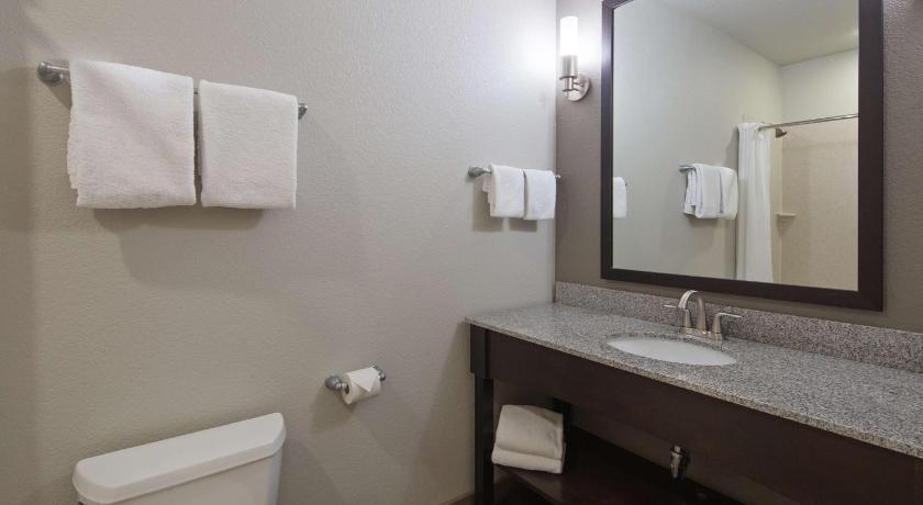 Best Western Plus Austin Airport Inn and Suites