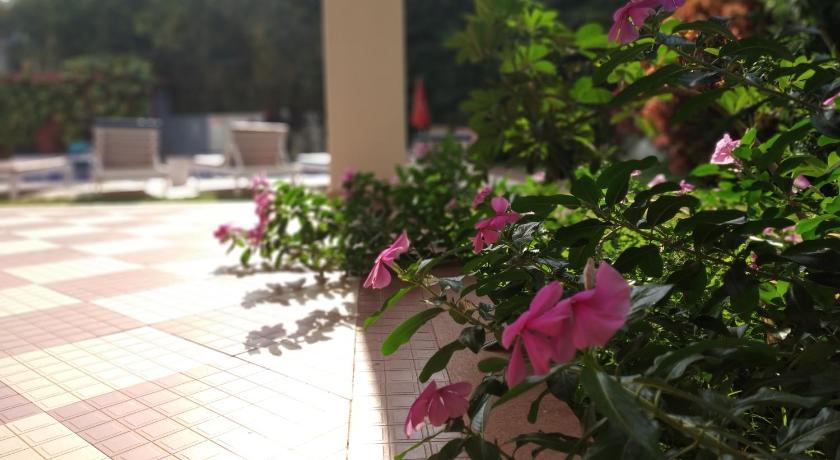Bluesea Beach Resort photo