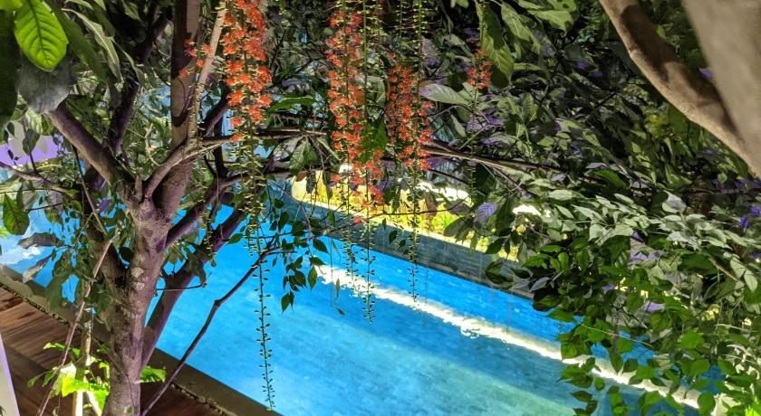 SARINA Hotel and Villa photo