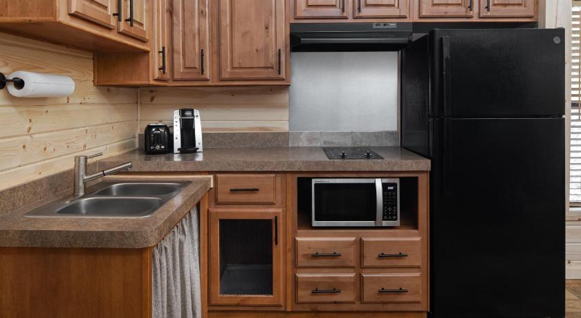 라크스퍼 (CO) Jellystone Park™ at Larkspur 2성급 숙소 객실