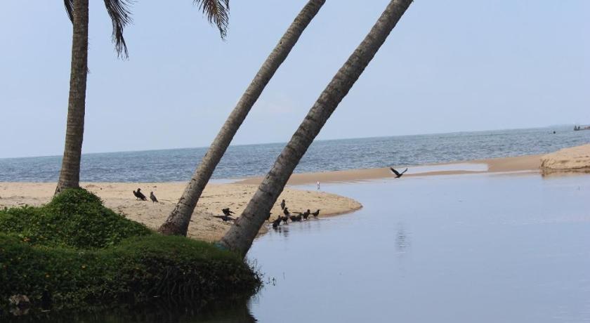 Telma Beach Homestay photo