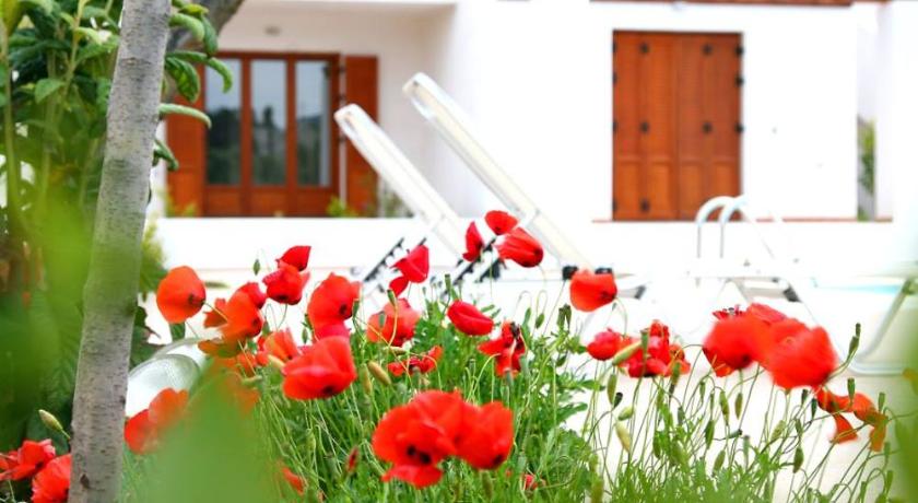 Skopelos Summer Homes - image 18