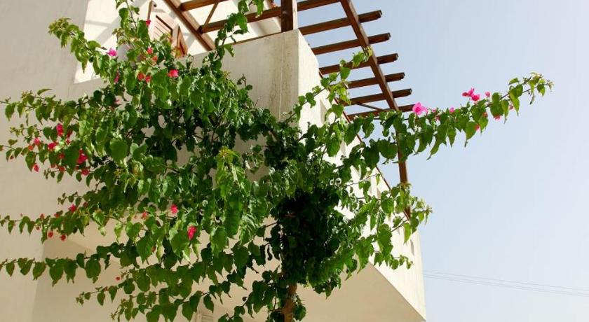 Skopelos Summer Homes - image 21
