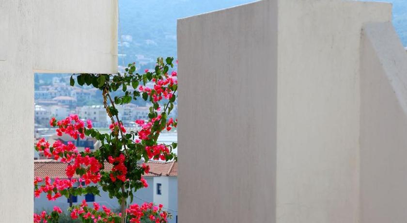 Skopelos Summer Homes - image 22