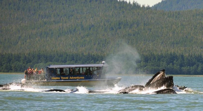 Suite Rock near glacier and Auke Bay harbor -DISCOUNTS ON TOURS! photo