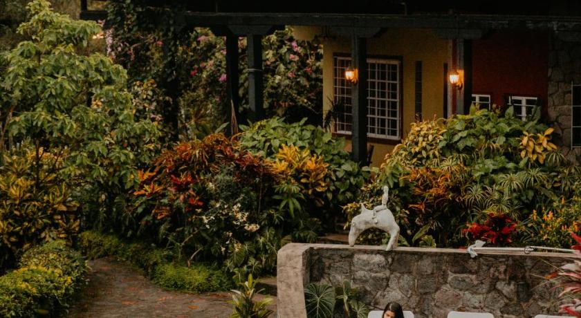 The Golden Frog Inn photo