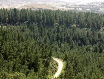 ティベリアス Yagorov Chalet ホテル 眺望