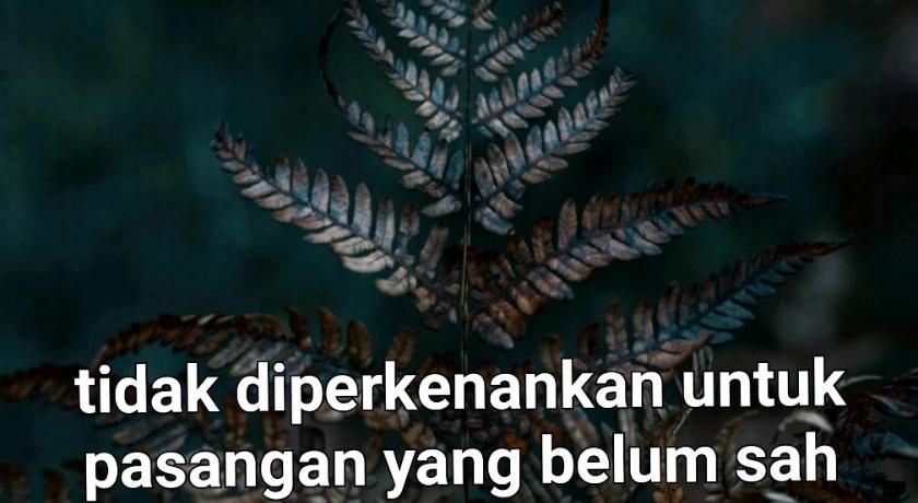 Omah Konco Yogyakarta photo