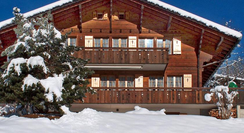 Apartment Chalet Doris by Interhome photo