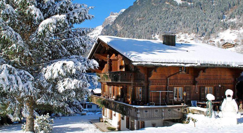 Apartment Chalet Marie Rosa-3 by Interhome photo