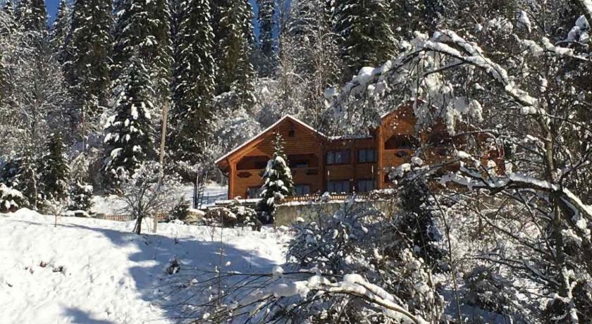 Privatna Sadiba Chalet — Hotel in Oryavchyk